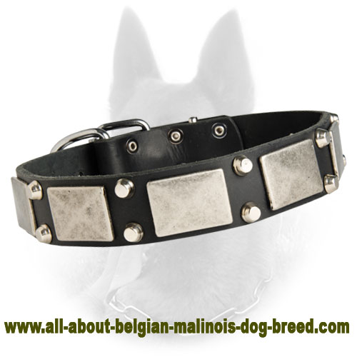 Leather Dog Collar With Old Nickel Plates And Pyramids