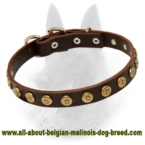 Belgian Malinois Leather Dog Collar with Brass Doted Circles