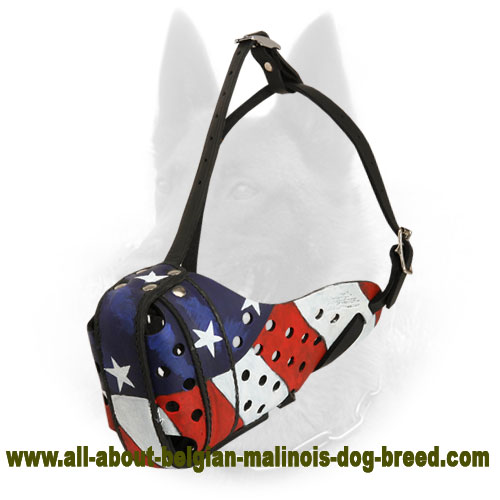 Leather Belgian Malinois Muzzle with Painted American Flag