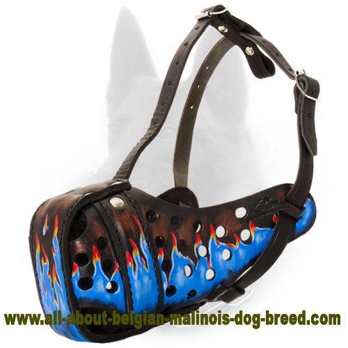 Fantastic Hand-Painted Leather Dog Muzzle for Belgian Malinois