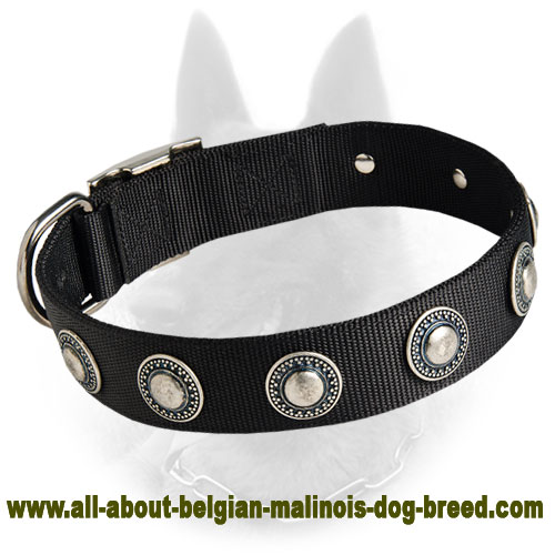 Belgian Malinois Nylon Dog Collar with Silver Circles