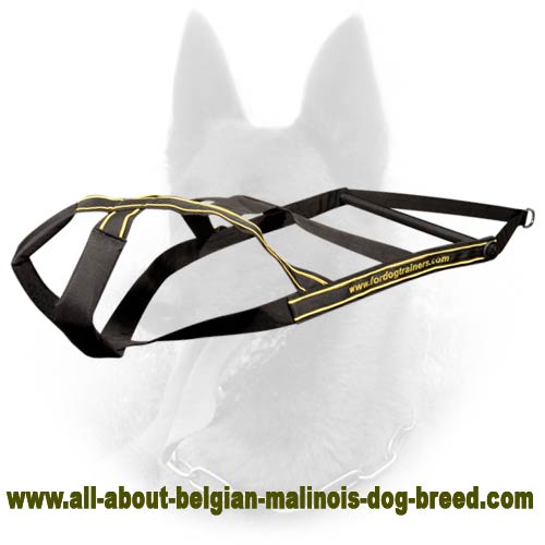 Belgian Malinois Weight Pulling Nylon Dog Harness