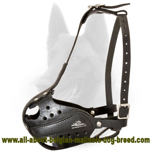 Belgian Malinois Agitation Leather Dog Muzzle/Police Dog Muzzle