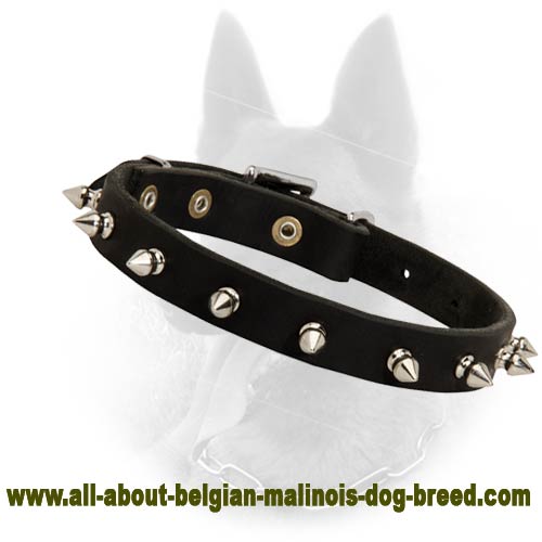 Leather Spiked Dog Collar- 1 Row of Spikes