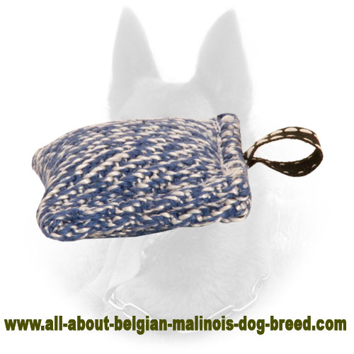 New Belgian Malinois Bite Tug of French Linen