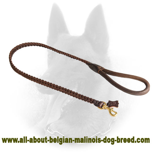 Braided Belgian Malinos Leather Leash for Walking and Tracking