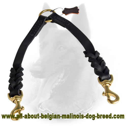 Leather Belgian Malinois Coupler with Braided Decoration