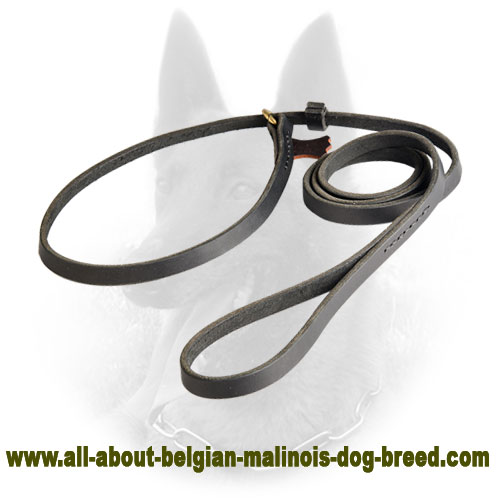 Super Combo of Leather Leash and Collar for Belgian Malinois