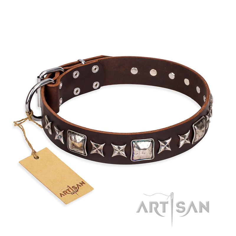"Perfect Impression" FDT Artisan Brown Leather Belgian Malinois Collar with Square Studs - 1 1/2 inch (40 mm) Wide