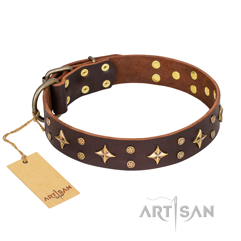 'High Fashion' FDT Artisan Embellished Brown Leather Belgian Malinois Collar - Click Image to Close