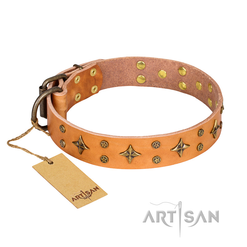 'Top-Flight' FDT Artisan Adorned Tan Leather Belgian Malinois Collar