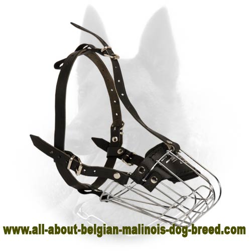 Light Weight Wire Basket Dog Muzzle for Belgian Malinois - Click Image to Close