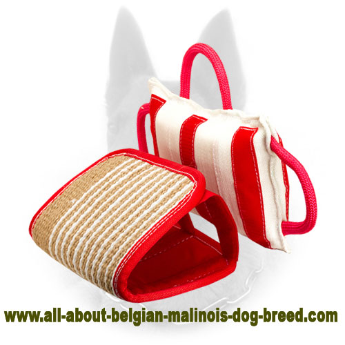 Jute bite pillow sale