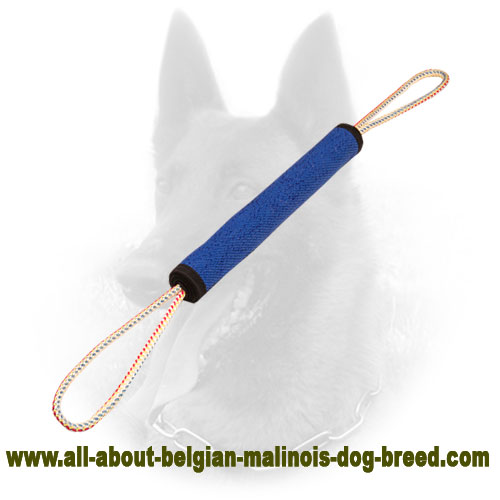 French Linen Belgian Malinois Bite Roll for Training and Playing