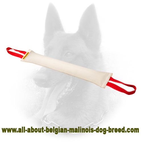 Super Size Fire Hose Belgian Malinois Bite Tug with 2 Handles