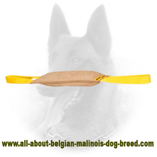 "Quick Grip" Leather Belgian Malinois Bite Tug