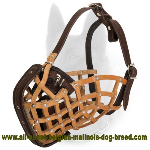Belgian Malinois Top Notch Police/Military Service Leather Dog Muzzle