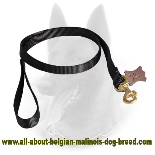 Tracking Belgian Malinois Leash of Nylon