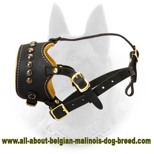 Studded Belgian Malinois Open Nose Nappa Padded Leather Dog Muzzle