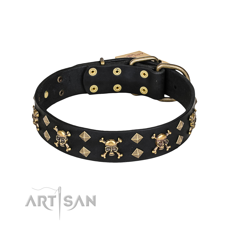 'Jolly Rojer' FDT Artisan Belgian Malinois Leather Dog Collar with Pirate Skulls and Studs - 1 1/2 inch (40 mm) wide