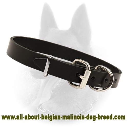 Malinois Classical Every Day Leather Collar