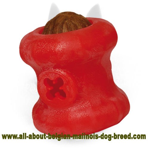 Unmatchable Belgian Malinois Chewing Ball Rolling Feeder for Large Dogs :  Belgian Malinois Breed: Dog Harness, Belgian Malinois dog muzzle, Belgian  Malinois dog collar, Dog leash