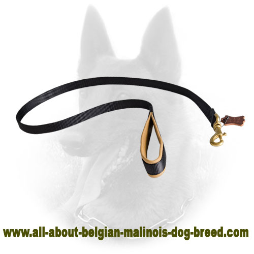 Nylon Belgian Malinois Leash with Nappa Leather Padding