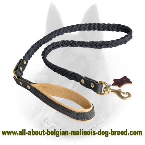 New Braided Belgian Malinois Leather Leash