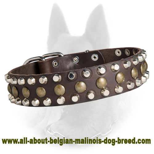 Unique Belgian Malinois Leather Collar with 3 Rows of Pyramid and Stud Decoration