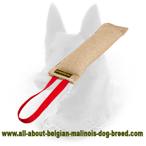 Unique Belgian Malinois Bite Tag of Jute Material