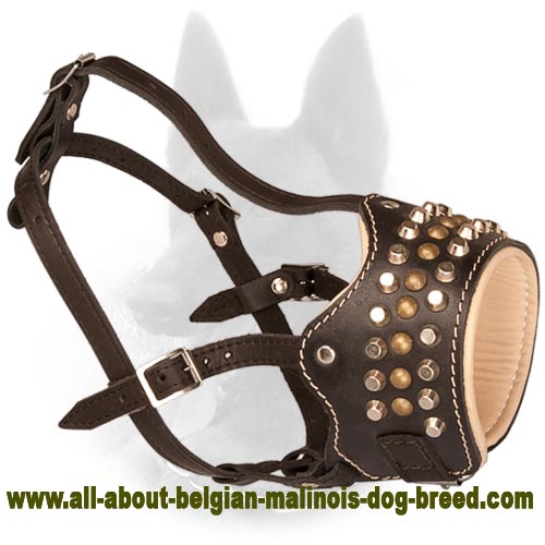 Royal Design Studs and Pyramids Decorated Leather Belgian Malinois Dog Breed Muzzle - Click Image to Close