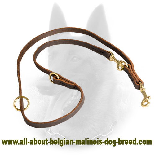Polyfunctional Leather Belgian Malinois Lead - Walk and Train with Pleasure