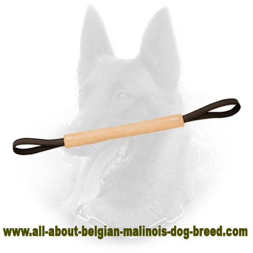 Pocket Belgian Malinois Bite Tug of Pure Leather