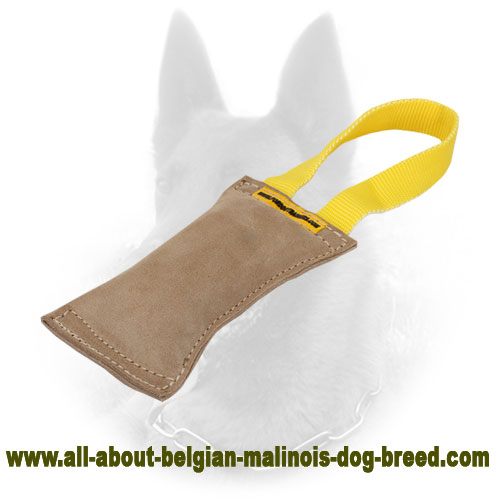 Perfect Retrieve Belgian Malinois Bite Tug - Natural Leather
