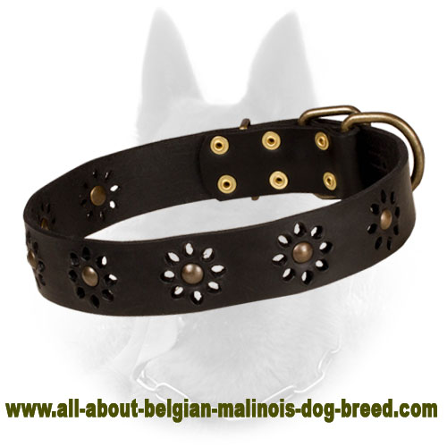 'Spring mood' Leather Belgian Malinois Collar for Stylish Walking - Click Image to Close
