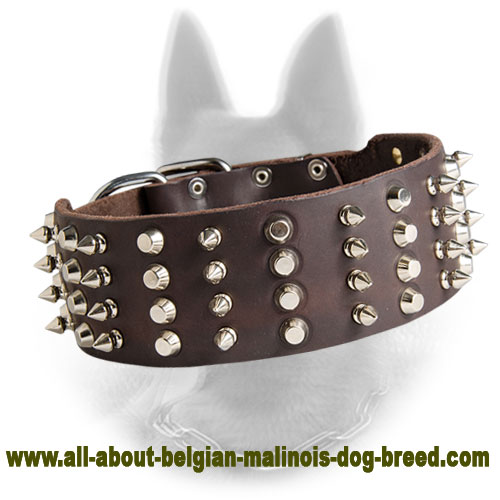 Extra Wide Leather Belgian Malinois Collar 4 Rows Decoration - Click Image to Close