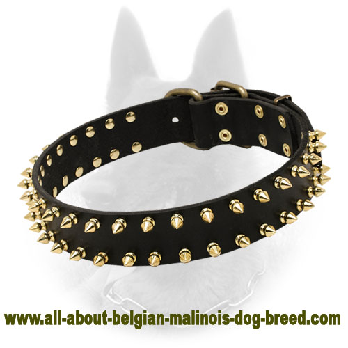 "Unveiled Luxury" Leather Belgian Malinois Collar for Stylish Walking