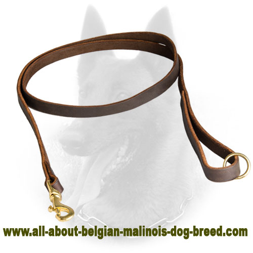 Gentle Belgian Malinois Leather Leash