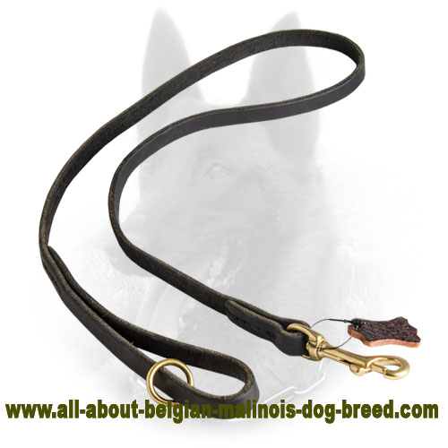 Handcrafted Belgian Malinois Leather Leash for Tracking