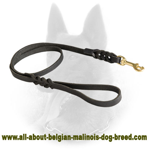 Multifunctional Belgian Malinois Leather Leash - Walking and Tracking