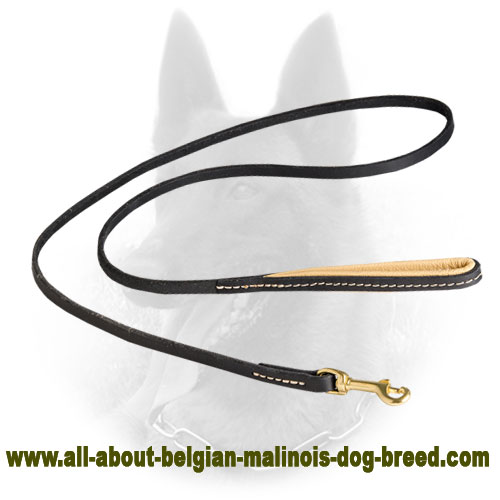 High-End Belgian Malinois Leather Leash with Exceptional Design