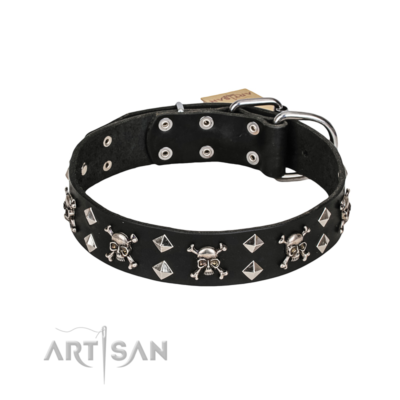 FDT Artisan 'Rock 'n' Roll Style' Fancy Leather Belgian Malinois Collar with Skulls, Bones and Studs 1 1/2 inch (40 mm) wide
