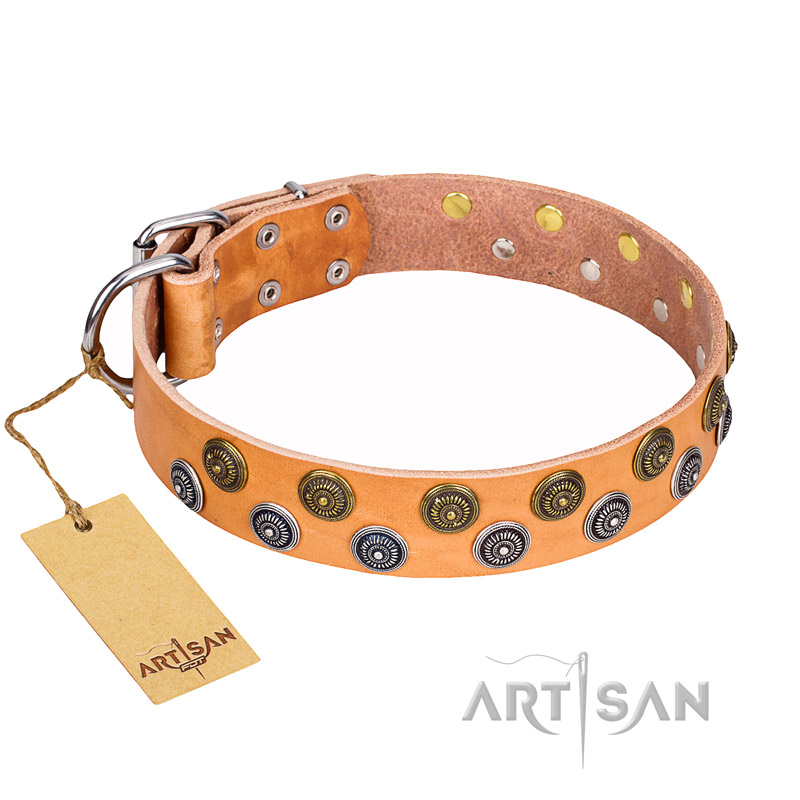 "Precious Sparkle" FDT Artisan Decorated Leather Collar for Belgian Malinois