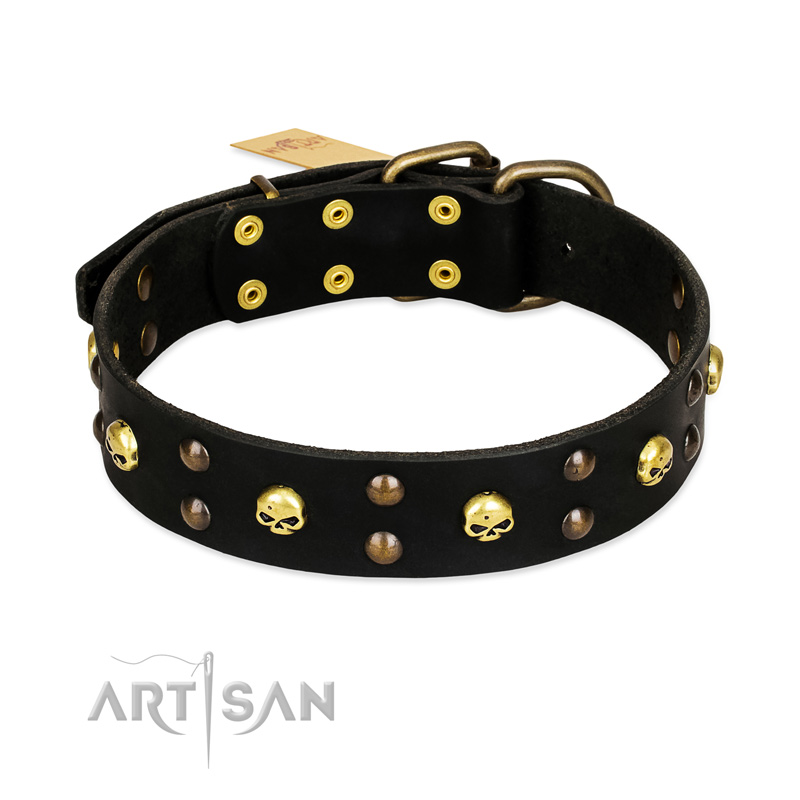 FDT Artisan 'Heavy Metal' Leather Belgian Malinois Collar with Skulls and Half-Balls 1 1/2 inch (40 mm)