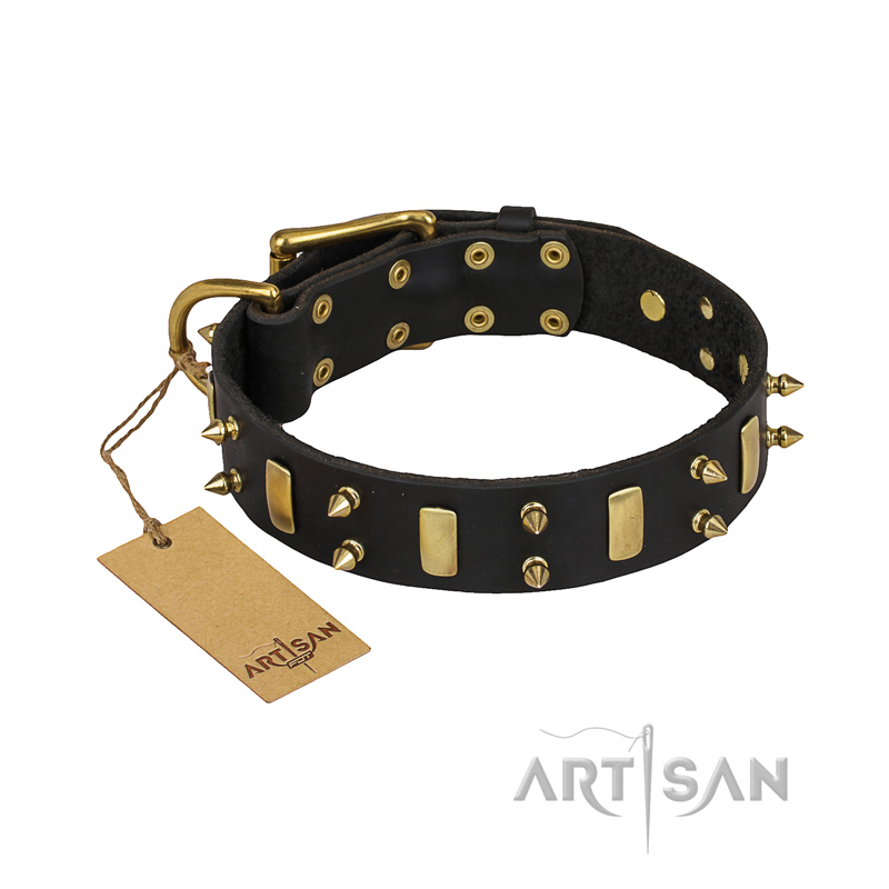 "Medieval Style" FDT Artisan Leather Belgian Malinois Collar with Brass Plates and Spikes