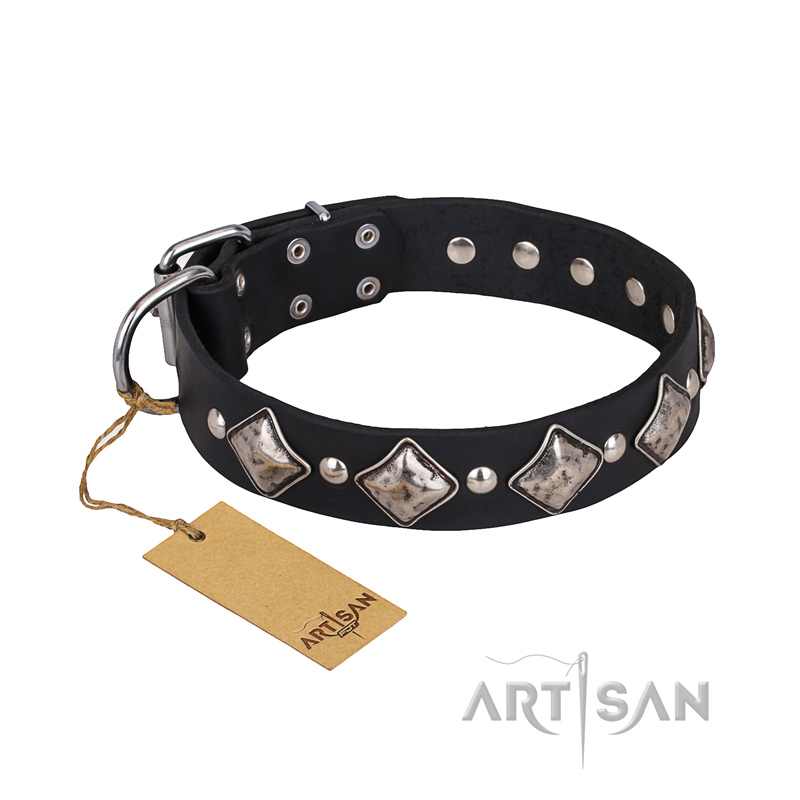 'Silver Charm' FDT Artisan Handcrafted Leather Collar with Studs and Plates for Belgian Malinois