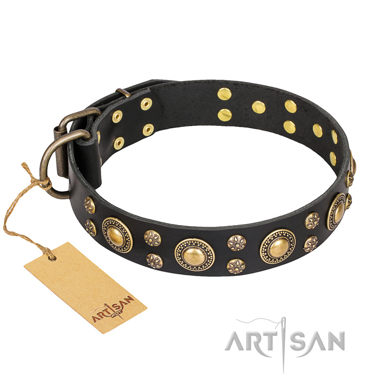 'Baroque Chic' FDT Artisan Studded Black Leather Belgian Malinois Dog Collar