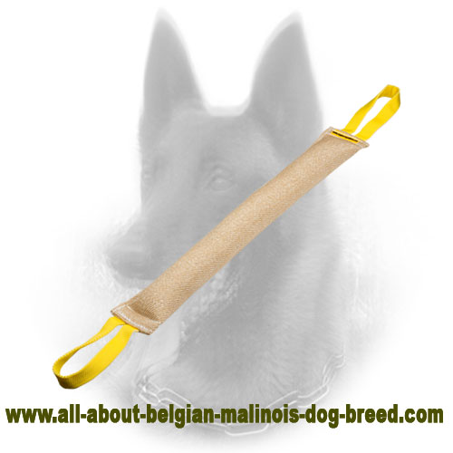 Longevous Belgian Malinois Jute Bite Tug - Click Image to Close