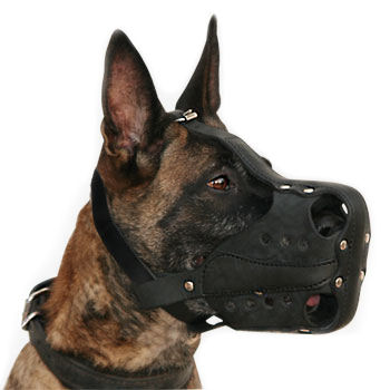 Leather Agitation/Police Dog Muzzle for Malinois or Shepherd M56