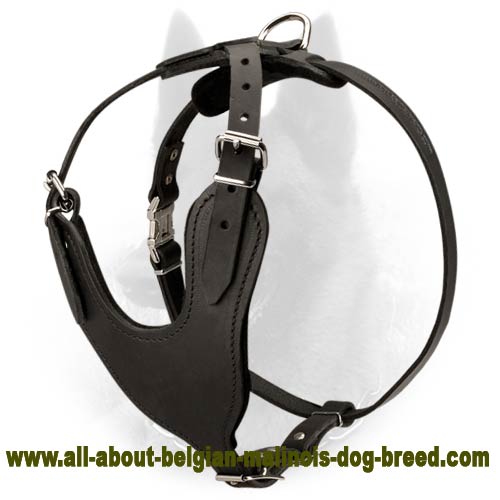 Heavy Duty Leather Belgian Malinois Harness for Attack/Protection Training